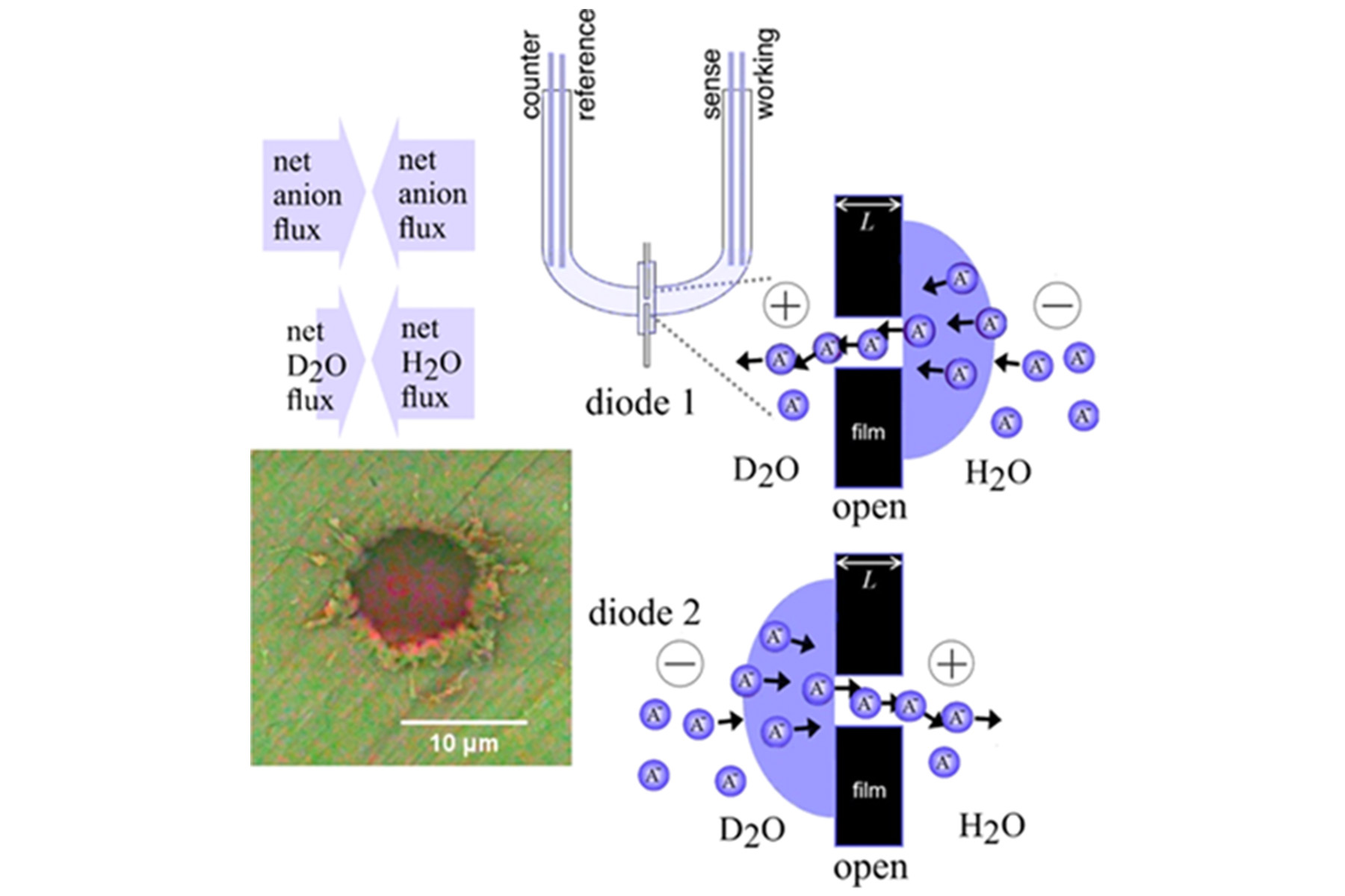 Controlling Water Flow with Microporous Polymers